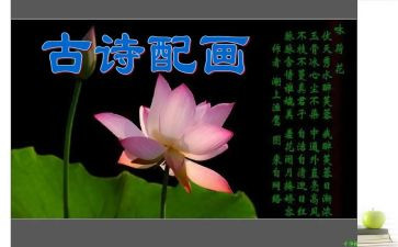 关于诗的演讲稿500字6篇