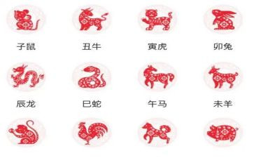 大班十二生肖教案最新6篇
