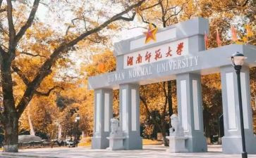 师范调查报告范文8篇