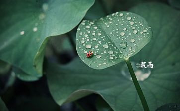 迎十四运工作总结6篇