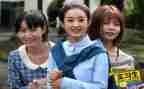 实习员个人总结优质5篇