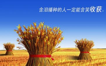 我收获了________作文400字6篇