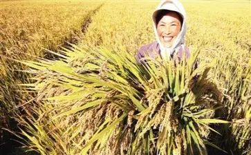 谈收获作文模板8篇
