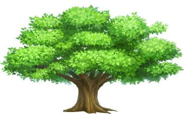 幼儿园植树主题活动方案通用7篇