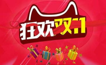 双11项目工作总结7篇