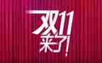 双11调查报告500字5篇