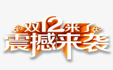 双12调研报告精选6篇