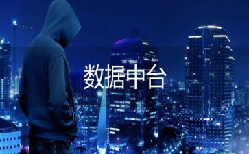数据工作报告6篇