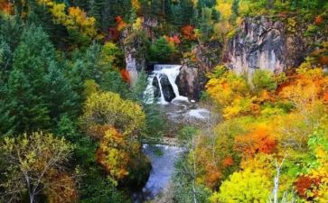 《四季》的教案优秀7篇