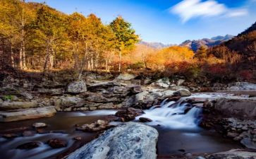 《四季》的教案模板7篇