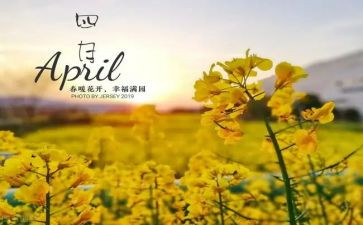 教师四月工作总结5篇