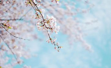 班主任四月工作计划6篇