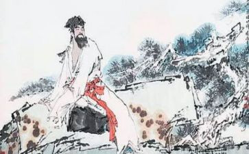苏轼的读后感8篇