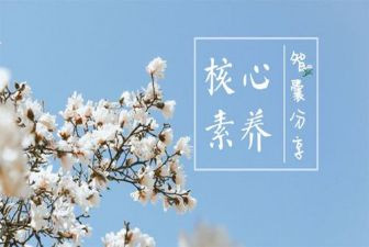 2023年核心素养心得体会5篇