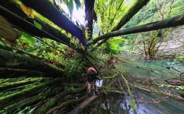爱探险之旅作文推荐8篇