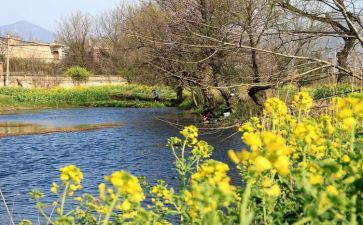 关于踏青的作文通用6篇