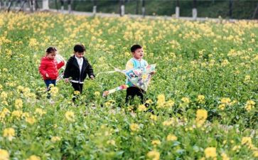 关于踏青的作文7篇