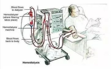 血液透析科个人总结范文5篇