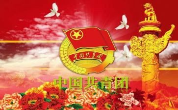 团干部的工作总结通用8篇