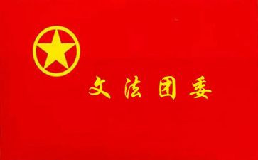 在团委工作总结模板8篇