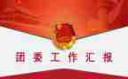 在团委工作总结通用8篇
