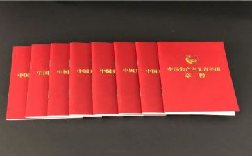 学团章守团章用团章心得7篇