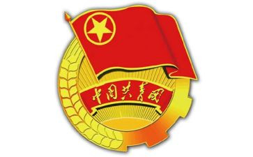 大学团支书的工作总结5篇
