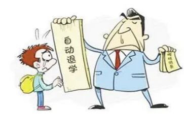 退学生申请书模板模板6篇