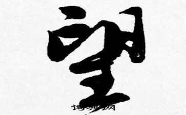 我的愿望的作文600字参考5篇