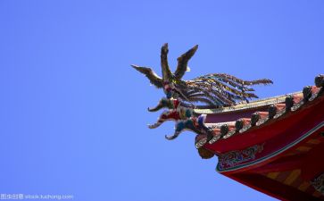 继承文化作文800字5篇