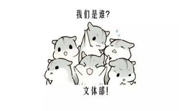 语文体会心得体会800字6篇