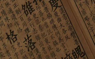 语文学年个人总结8篇