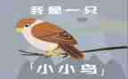 大班小鸟飞教案8篇