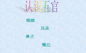 五官优秀作文7篇