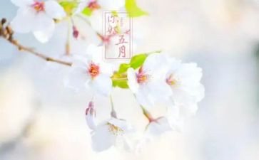 五月工作总结范文6篇
