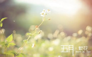 五月的歌心得体会6篇
