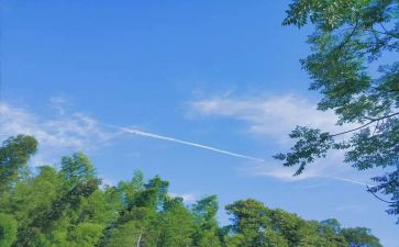 大学暑期夏令营心得体会7篇