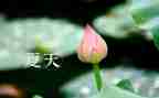 描写夏天的作文600字8篇