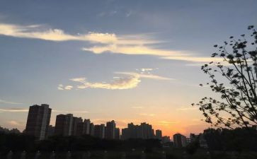 初三下班主任工作总结8篇