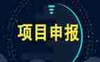 项目工作年终总结精选7篇