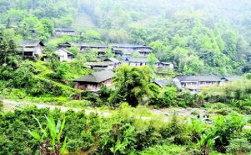乡镇府述职报告精选7篇