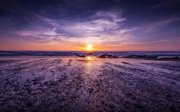 读骆驼祥子心得体会400字7篇