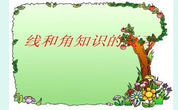 线和角小学数学教案精选5篇