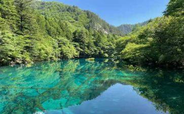 我的伯父先生读后感通用8篇