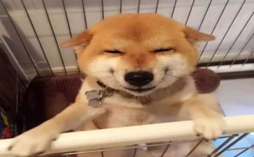 护士微笑演讲稿5篇