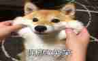 妈妈笑了作文8篇