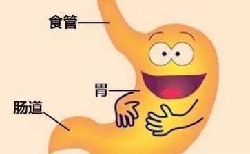 2024消化内科年终工作总结5篇