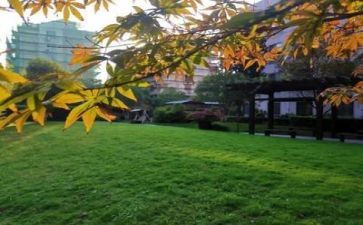 活动进校园领导讲话稿7篇