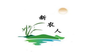 新农合个人总结8篇