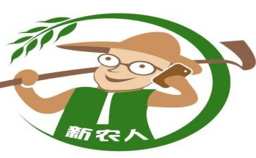 新农村建设的社会实践报告7篇